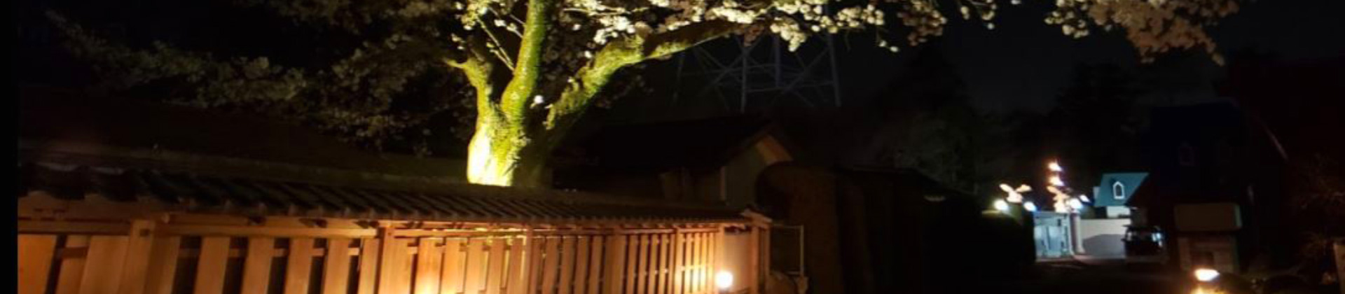 埼玉県 熊谷市 ラブホテル 客室 レジャー ホテル 美松